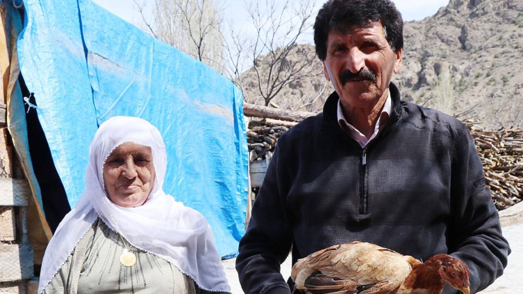 Tavuklarını korumak için 'çakal' nöbeti tutuyor
